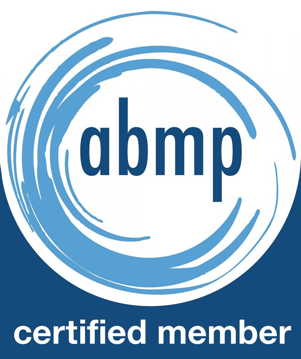 ABMP Member